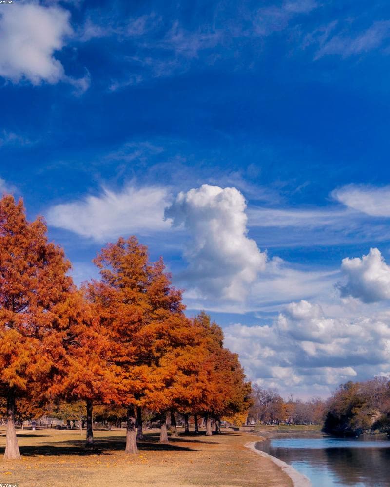 Frase de bendición 18